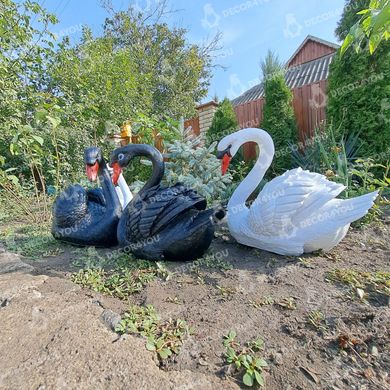 купити Комплект садових фігур Пара лебедів, білих та чорних   5