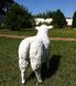 купити Садова фігура Пастух з вівцями 12