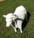 купити Садова фігура Пастух з вівцями 14