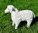 купити Садова фігура Пастух з вівцями 16