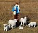 купити Садова фігура Пастух з вівцями 1