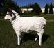 купити Садова фігура Пастух з вівцями 8