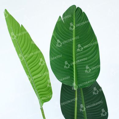 купити Штучна рослина Banana Tree 155см в кашпо (TW-0989-1) 4