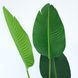 купити Штучна рослина Banana Tree 155см в кашпо (TW-0989-1) 4