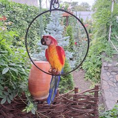 купить Садовая фигура Попугай Ара керамический в кольце, красный 1