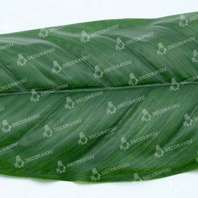 купить Искусственные листья Engard Spathiphyllum 65 см (DW-33) 8