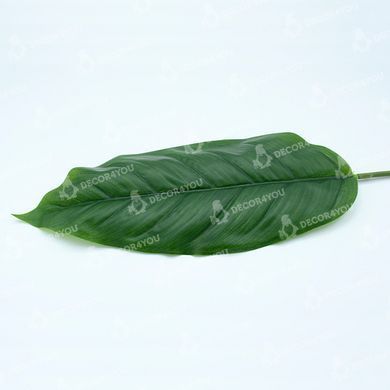 купить Искусственные листья Engard Spathiphyllum 65 см (DW-33) 5
