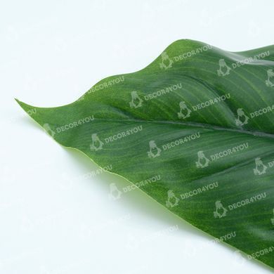 купить Искусственные листья Engard Spathiphyllum 65 см (DW-33) 6