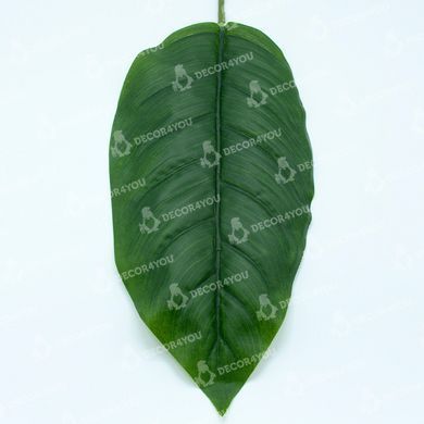 купить Искусственные листья Engard Spathiphyllum 65 см (DW-33) 7