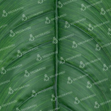 купить Искусственные листья Engard Spathiphyllum 65 см (DW-33) 3