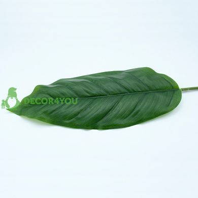 Штучне листя Engard Spathiphyllum 65 см (DW-33)