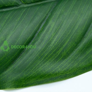 Искусственные листья Engard Spathiphyllum 65 см (DW-33)