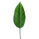 Искусственные листья Engard Spathiphyllum 65 см (DW-33)