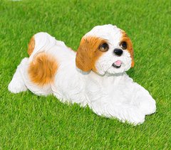 купити Садова фігура собака Ши-цу що лежить біло-коричневий 1