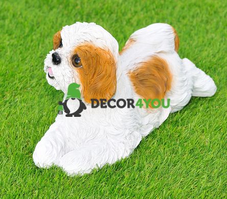 купити Садова фігура собака Ши-цу що лежить біло-коричневий 2