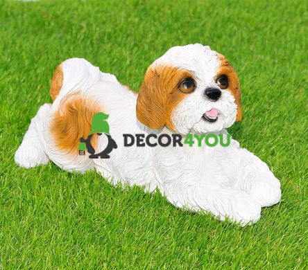 купити Садова фігура собака Ши-цу що лежить біло-коричневий 1