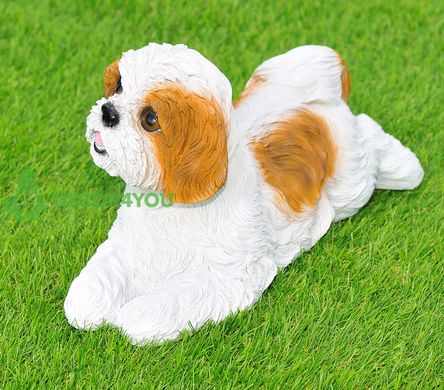 купить Садовая фигура собака Ши-цу лежащий бело-коричневый 2