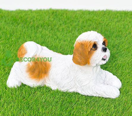 купить Садовая фигура собака Ши-цу лежащий бело-коричневый 3