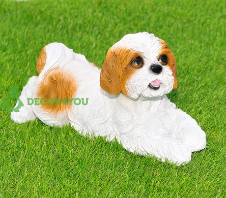 купить Садовая фигура собака Ши-цу лежащий бело-коричневый 1