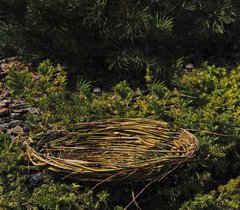 Садове гніздо для лелек з лози велике